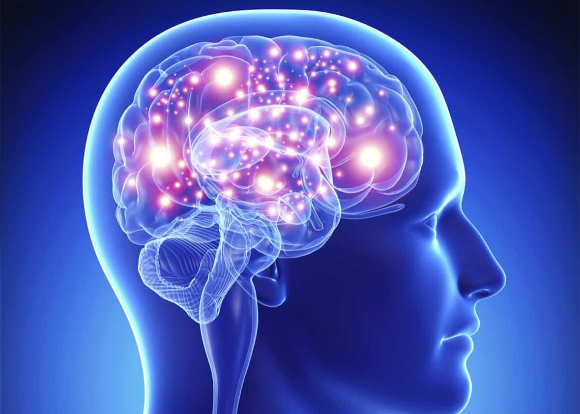 Larning Brain Self-Learning vs. Classroom Learning: Which Is Better? - Autodidact Society