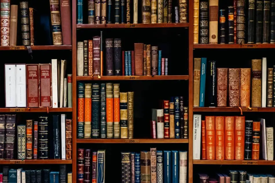 A lot of books lying on bookshelves for Self Education