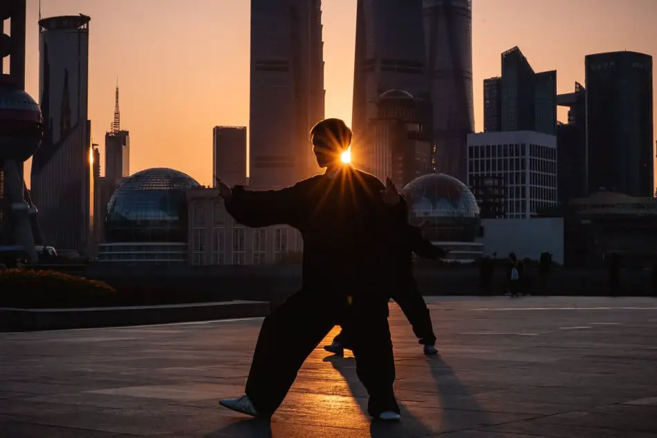 Tai Chi Lesson with Master