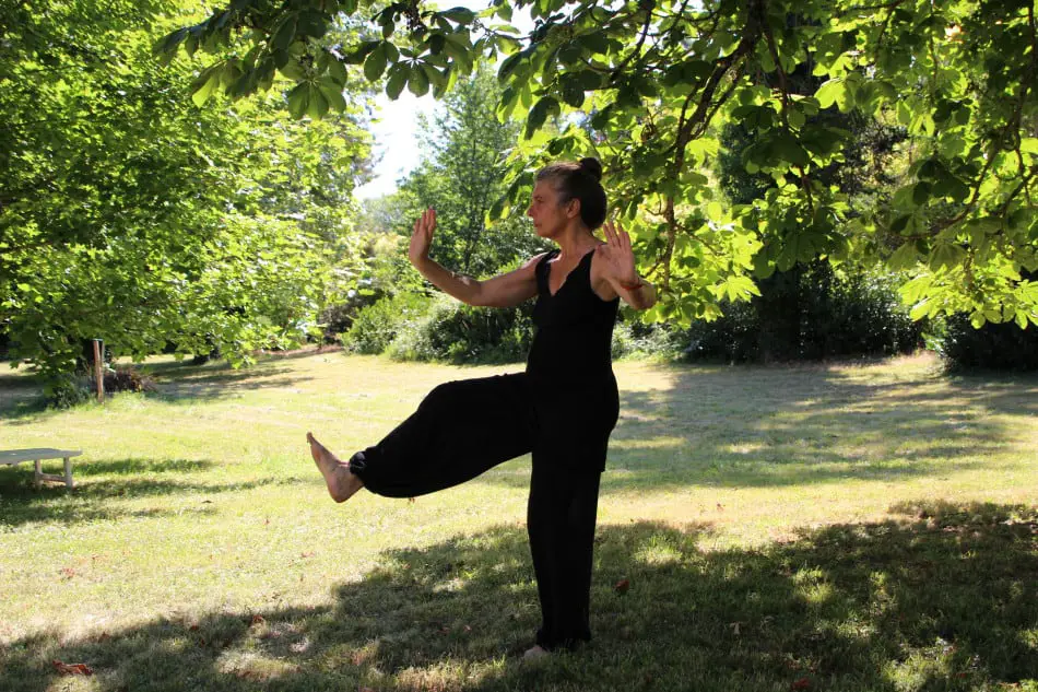 Tai Chi Practice