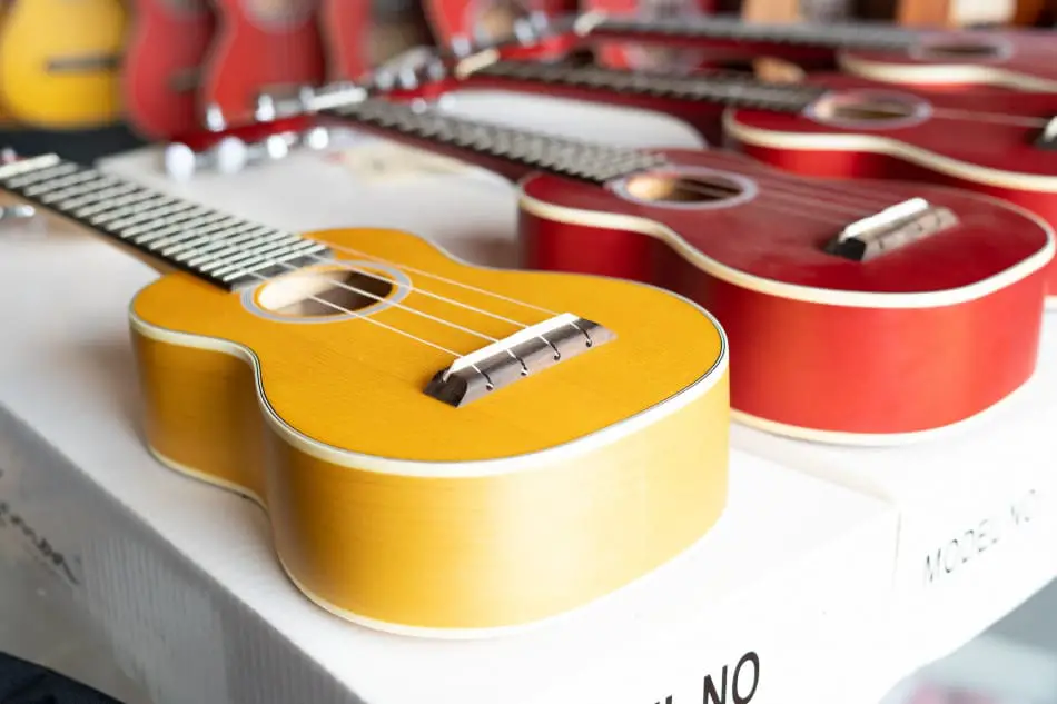 Different Sizes of Ukuleles