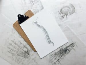 How To Learn Anatomy On Your Own