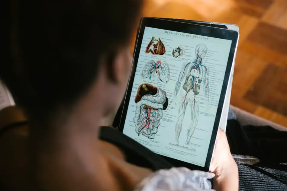 Use Three-Dimensional Apps To Learn Anatomy